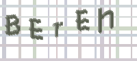 CAPTCHA Bild zum Spamschutz 